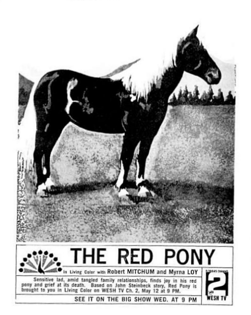 1965-05-wesh-red-pony