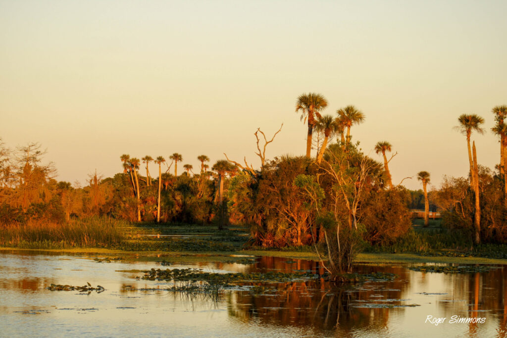 The sun sets over Orlando Wetlands Park, 1,650 acres of man-made wetlands in Christmas, Florida.